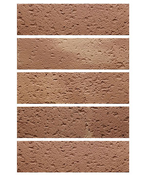 2022.5.16_11.43.11_3965