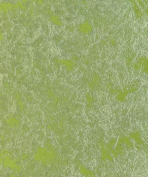 2025.1.14_15.9.1_3802