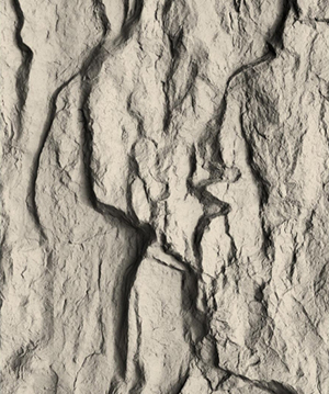 2025.4.12_17.29.45_5289