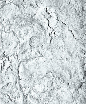 2025.4.14_17.5.20_1382