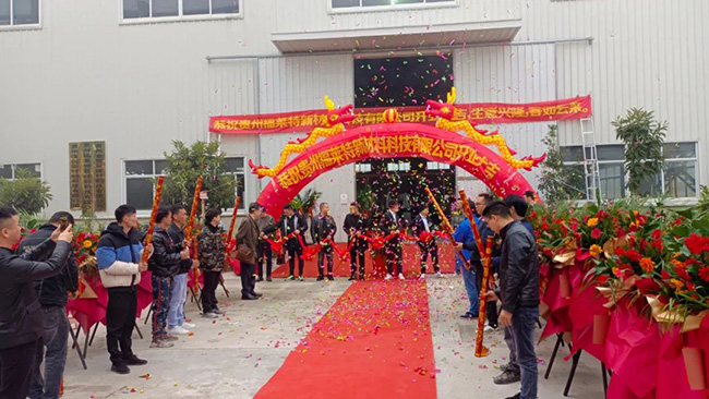 PG电子|PG电子平台·(中国)官方网站